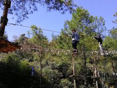 -梦幻奥陶纪景区