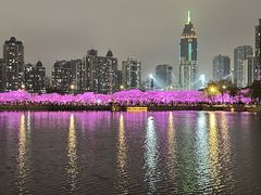 -西北湖绿化广场