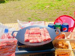 -上海共青森林公园