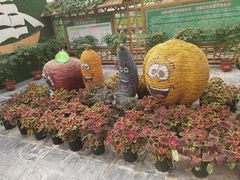 -兰陵国家农业公园