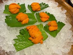 -月龍吟(朝龙汇店)