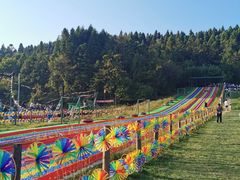 -武陵山森林公园