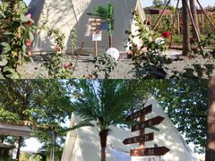 -安德鲁户外烧烤帐篷营地(马泉营店)