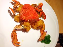 -割烹旭日本料理(龙湖狮山天街店)