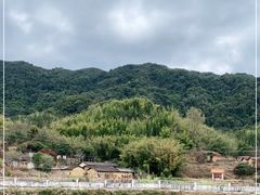 -广州市流溪河国家森林公园