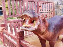 -贵州森林野生动物园
