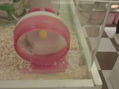 -龙猫仔乐园(惠福东路店)