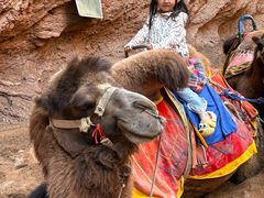 -天山神秘大峡谷