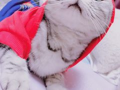 -美联众合动物医院·24h京西诊疗中心