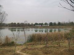 -淇河国家湿地公园