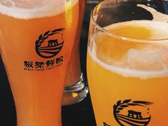 -板凳鲜酿·精酿啤酒(建设路站)