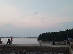 -宝安西湾红树林湿地公园