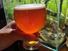 -雪梨精酿 Sydney Coast Brewing(沁春家园店)