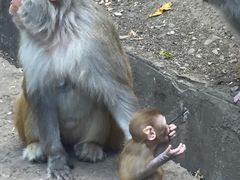 -黔灵山公园-南门售票处