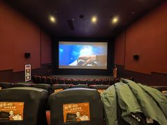 -华谊兄弟影院(IMAX洋桥店)