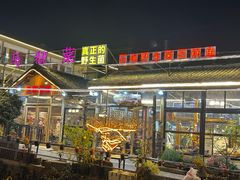 -马帮菜馆·美味野生菌