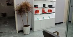 -YESIDO椰岛造型