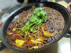 -鸿顺老铁锅美蛙鱼府(解放碑店)