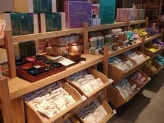 -长春堂顺时而饮(前门店)