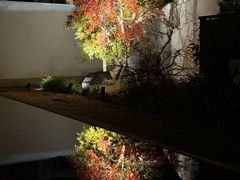 -滨千鸟之汤 海舟