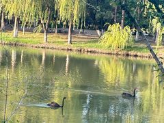 -江南大学(蠡湖校区)