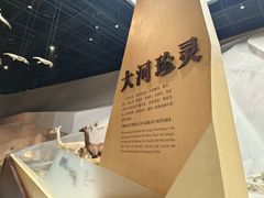 -武汉园博园(武汉自然博物馆)