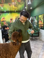-神奇动物撸宠馆·羊驼·小浣熊·异宠(豫园店)