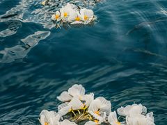 -丽江泸沽湖景区