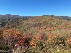 -北京西山国家森林公园