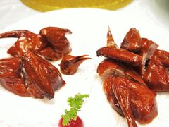 -四季海鲜酒楼·粤菜·早茶·宴会(南山中心区店)