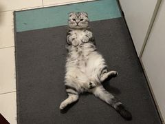 -欧奕国际动物医院