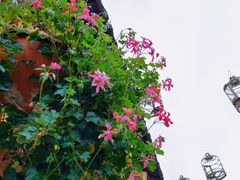 -安仁古镇
