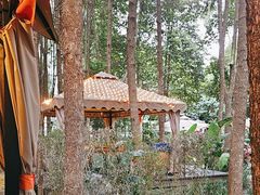 -二荆条·蜀鲜汇城市森林火锅