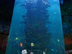 -青岛嘉年华主题乐园