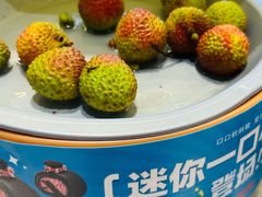 -龍歌自助小火锅(市南金茂湾店)