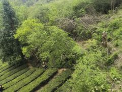 -敬亭山风景名胜区
