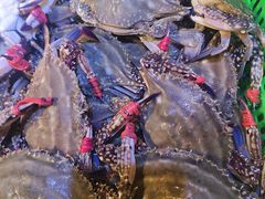 -三个渔夫·蒸汽海鲜(小白楼店)