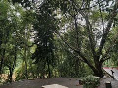 -孔雀湖生态旅游区