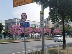 -萨莉亚意式餐厅(深圳北站店)