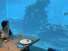 -海棠湾洲际-涛·海底餐厅·美人鱼·自助餐·海底隧道