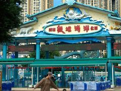 -海合安成都极地海洋公园
