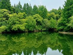 -上海滨江森林公园