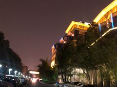 -常州环球恐龙城维景国际大酒店