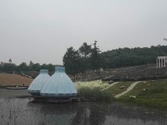 -大塘金香草谷