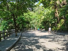 -水濂山森林公园