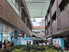 -香港大学