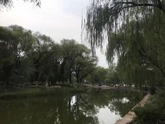 -满都海公园