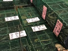 -荔城生鲜盛宴(番禺旗舰店)