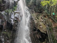 -藏龙百瀑风景区