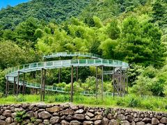 -龙井峡漂流